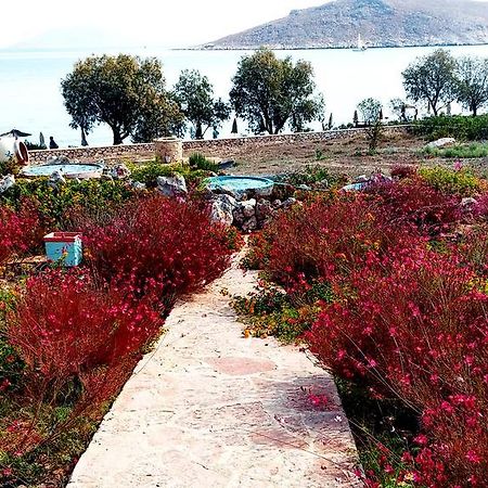 Villa Romanza Beach Villa Chalki Town エクステリア 写真